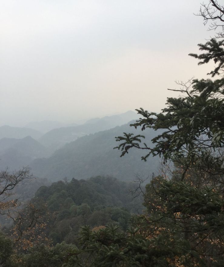 I am standing at the highest point of Mont. Qing Cheng (青城山). It is a tower built for Daoism. The air feels cold and clean. I took a picture of all the small mountain around. It was a bit hazy as well, and you may not see the trees clearly.